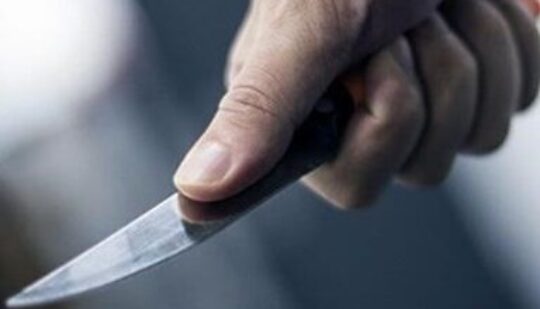 На Володимиреччині конфлікт між подружжям закінчився різаниною