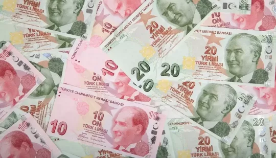 Турецька ліра зросла на 15% на тлі програми захисту вкладів Ердогана