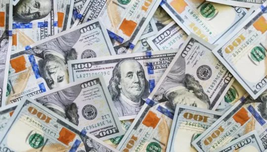 У перший тиждень року НБУ продав 100 млн доларів