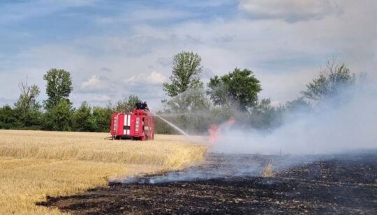 На Рівненщині вигоріло 20 соток пшениці