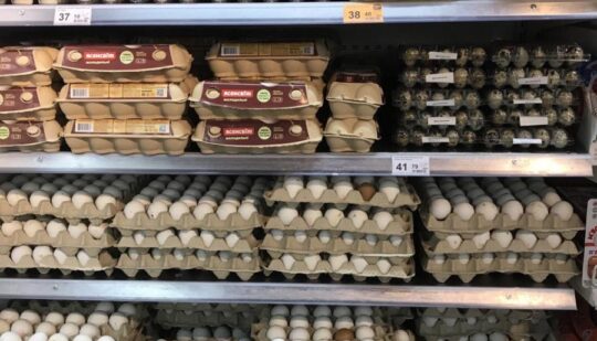 Чи зросла вартість продуктів у магазинах Рівного перед великодніми святами: порівняння цін