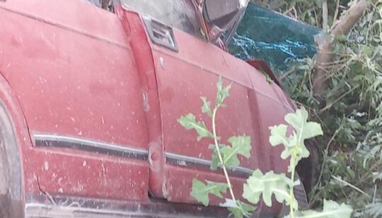 Травмувались троє дітей: п`яний водій не впорався із керуванням і авто з`їхало в кювет на Рівненщині