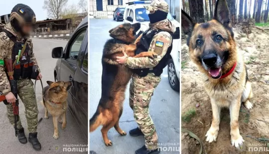 Інспектори кінологічного центру ГУНП в Рівненській області допомагають постраждалим регіонам