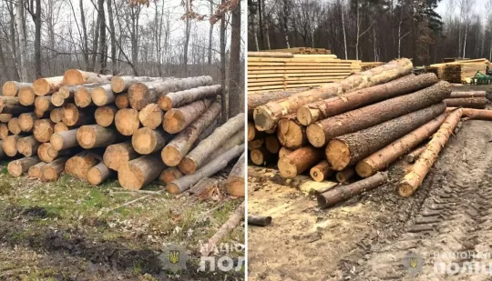 На Сарненщині поліцейські вилучили незаконну деревину та викрили лісорубів