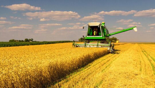 На Рівненщині розпочалися жнива – повідомляє Віталій Коваль