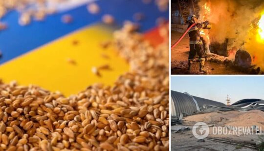 Обстріли Росією українських портів на Дунаї не змінять картину зернового експорту – Єврокомісія