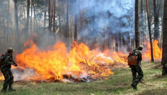 На Рівненщині оголошено високий рівень пожежної небезпеки