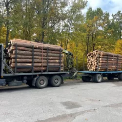 На Сарненщині поліцейські викрили прикарпатця на незаконному перевезенні деревини