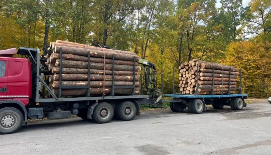 На Сарненщині поліцейські викрили прикарпатця на незаконному перевезенні деревини
