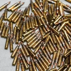 У Рівному під час виїзду про домашнє насильство, поліція виявила гранати та боєприпаси