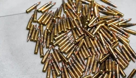 У Рівному під час виїзду про домашнє насильство, поліція виявила гранати та боєприпаси
