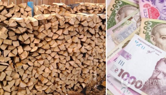 Отримати дрова та вугілля – українці отримають гроші на купівлю