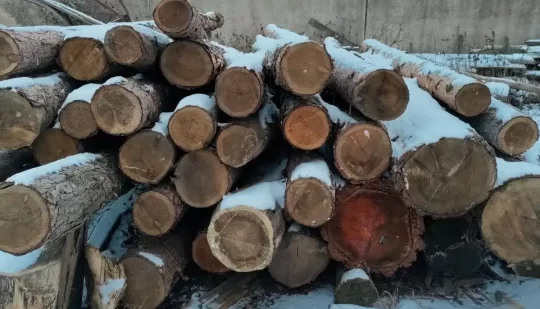 Незаконна лісопродукція вилучена здолбунівськими поліцейськими