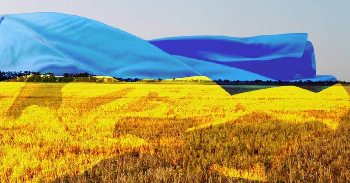 Ви зараз переглядаєте Нідерланди виділили Україні €1 млрд військової допомоги