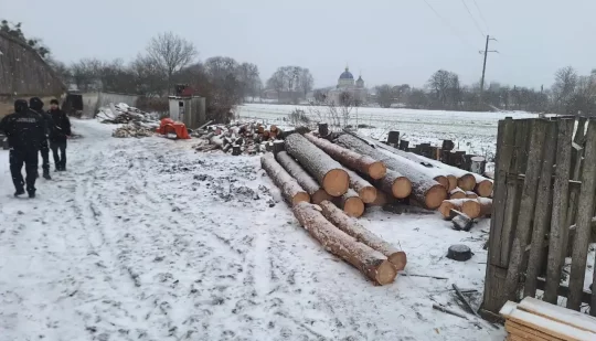 Поліцейські за добу задокументували шість фактів незаконної порубки, зберігання та транспортування лісу