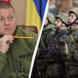 Залужний озвучив зауваження до резонансного законопроекту про мобілізацію