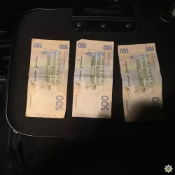 Нетверезий житель Сарненського району намагався відкупитися від відповідальності