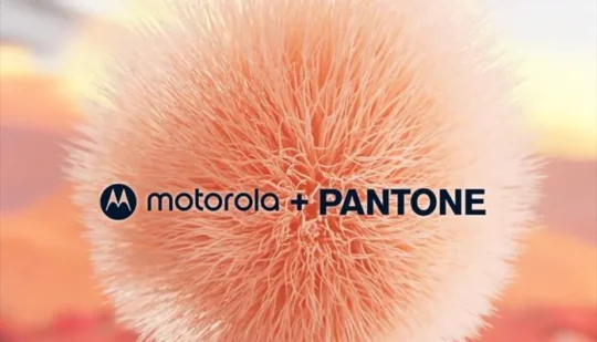 Motorola оголосила результати опитування про колір смартфона