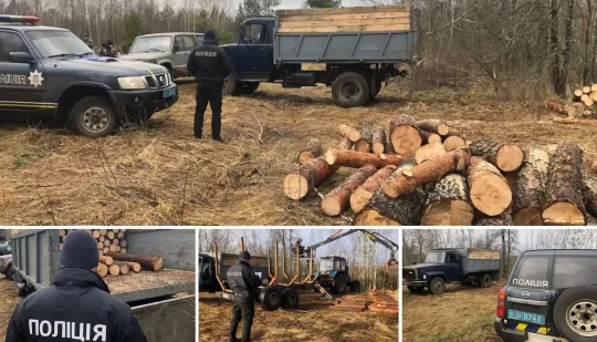 Володимирецькі поліцейські задокументували факт незаконної порубки деревини