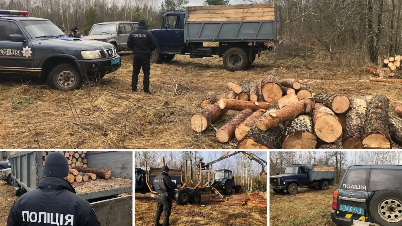 Ви зараз переглядаєте Володимирецькі поліцейські задокументували факт незаконної порубки деревини
