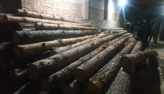 Поліцейські перевіряють жителя Сарненського району на причетність до незаконної порубки деревини