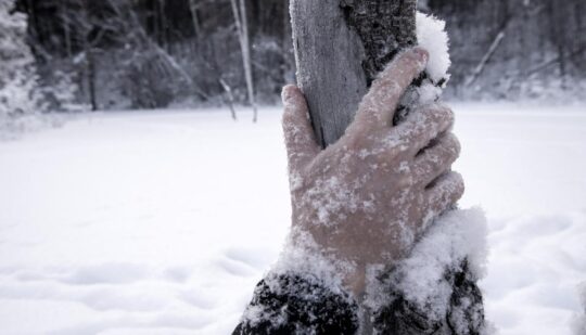 Вночі на Полтавщині люди замерзли насмерть: поліція збентежена