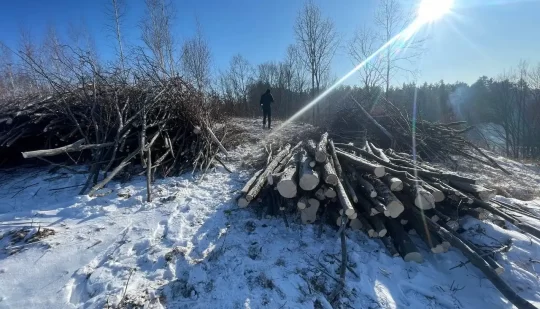 На Рівненщині поліцейські задокументували злочини у сфері довкілля та вилучили деревину