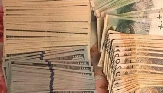 СБУ викрила злочинну групу з Рівненщини та Львівщини, яка переправила 62 ухилянтів за кордон