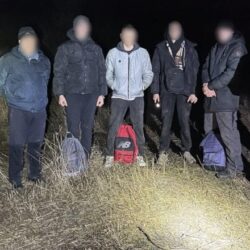 На Вінниччині ухилянти переодягаються в тварин, щоб перетнути кордон