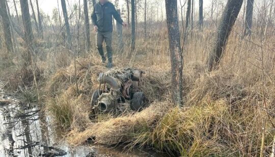 Зловмисники намагалися вивезти дерева з лісового масиву на Рівненщині