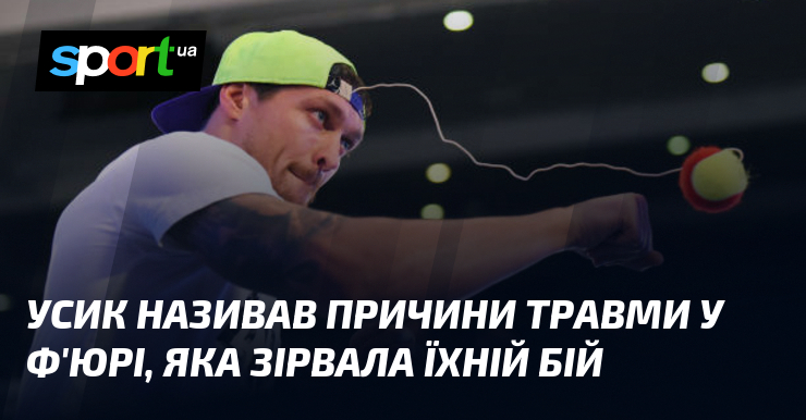 Ви зараз переглядаєте Усик називав причини травми у Ф’юрі, яка зірвала їхній бій