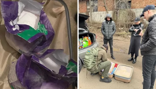 Правоохоронці Рівненщини заблокували канал контрабандного ввезення прекурсорів з Єгипту