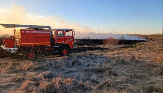На Сарненщині зловили паліїв трави
