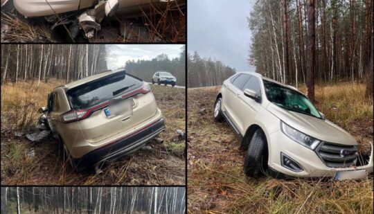 На Сарненщині водій, якому стало погано, спричинив ДТП