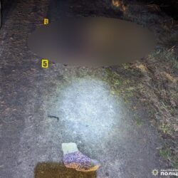 На Рівненщині водій на смерть збив людину