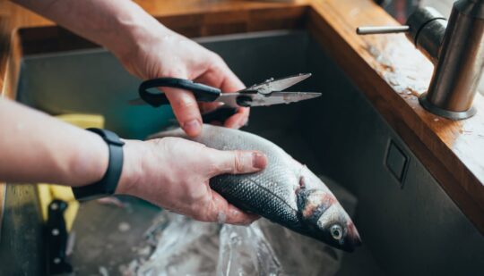 На ринку у Рівному викрили кілька точок незаконного продажу риби