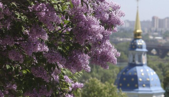 Погода Київ – до столиці мчить довгоочікуване потепління