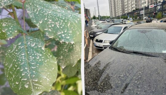 “Брудний дощ” чи становить він небезпеку