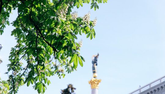 Погода в Україні. Київ – сьогодні на киян чекає чудова весняна погода