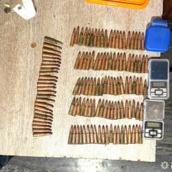 Жительку Рівного посадили під цілодобовий домашній арешт