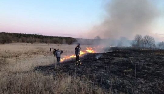 Рятувальники Рівненщини закликають не спалювати суху траву через сильний вітер