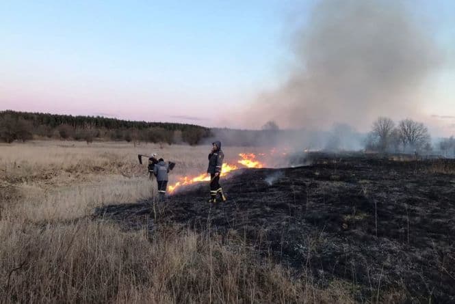 Ви зараз переглядаєте Рятувальники Рівненщини закликають не спалювати суху траву через сильний вітер