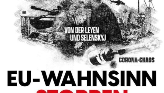 “Поцілунок” Зеленського і фон дер Ляєн: проросійська партія в Австрії йде на вибори зі скандальним антиукраїнським плакатом (фото)