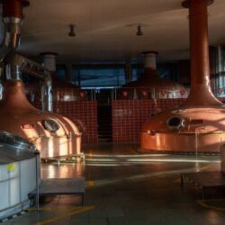Пивоварна компанія AB InBev Efes Ukraine стала одним із лідерів українського пивного ринку