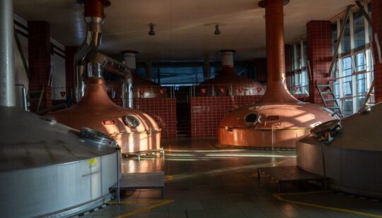 Пивоварна компанія AB InBev Efes Ukraine стала одним із лідерів українського пивного ринку