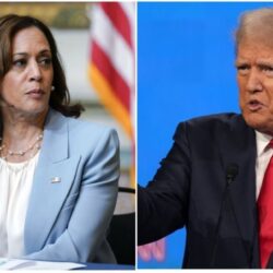 Які шанси у Гарріс проти Трампа: що кажуть опитування