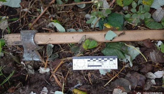 У Дубенському районі син убив матір: поліція затримала підозрюваного