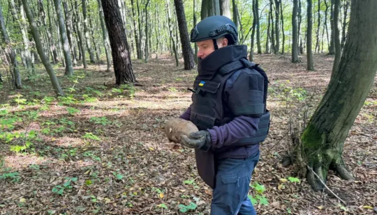 Піротехніки знешкодили артилерійські снаряди поблизу Пирятина