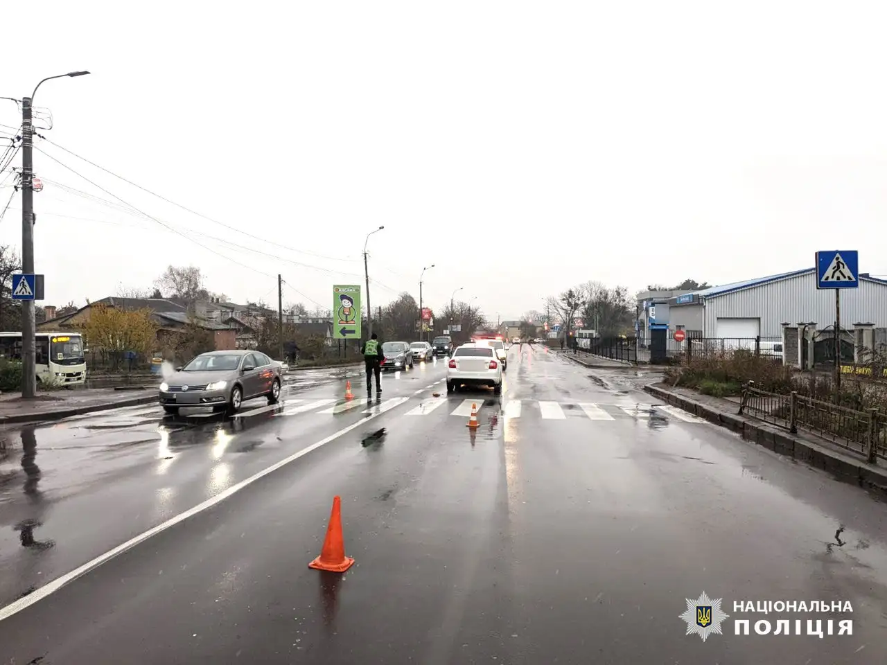 Ви зараз переглядаєте У Рівному водійка Skoda збила двох жінок на пішохідному переході